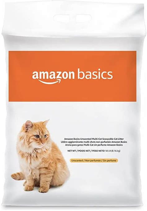 best cat litter|cheapest cat litter online.